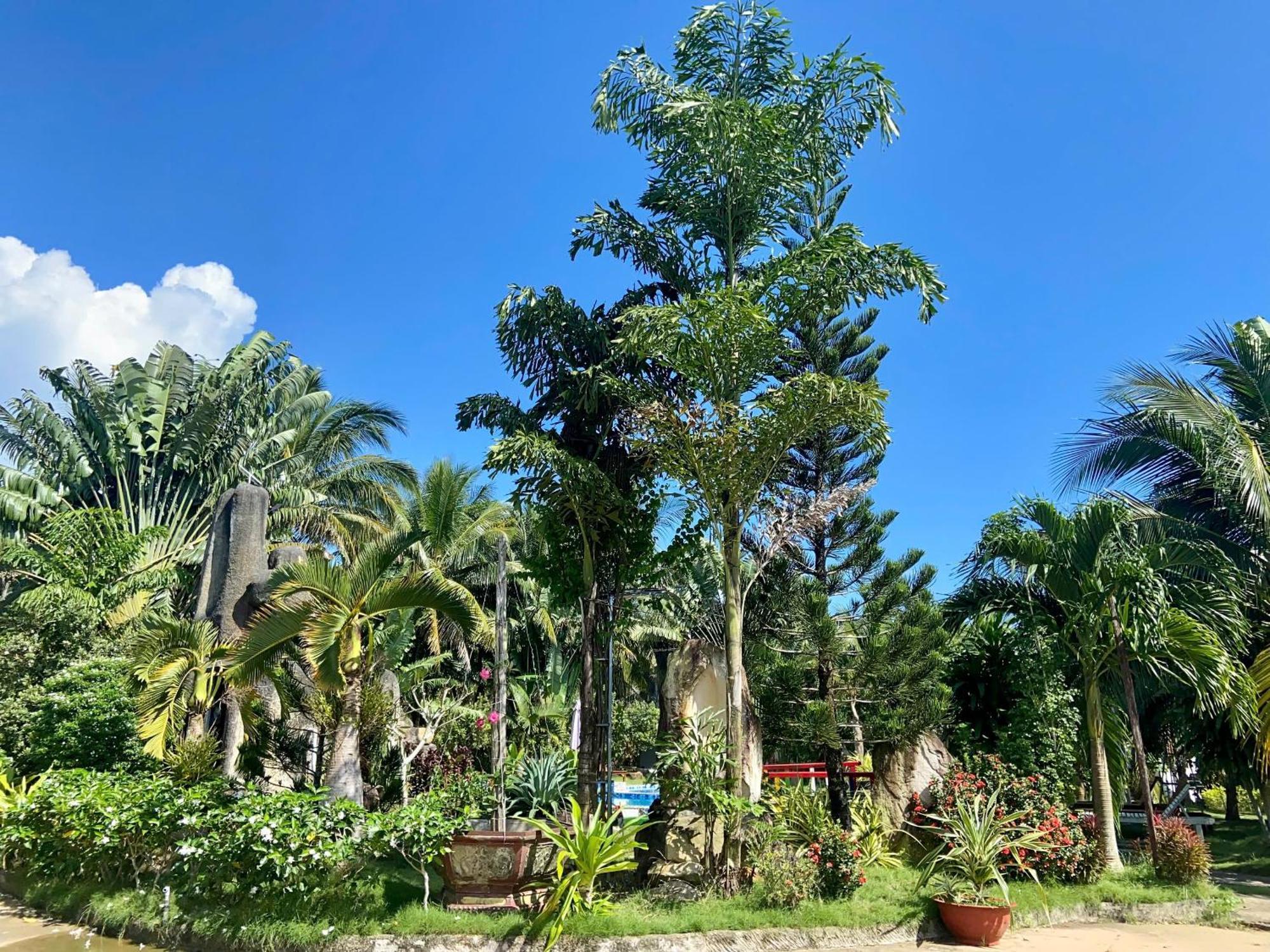 Y Nghia Bungalow Ong Lang Phu Quoc Eksteriør bilde