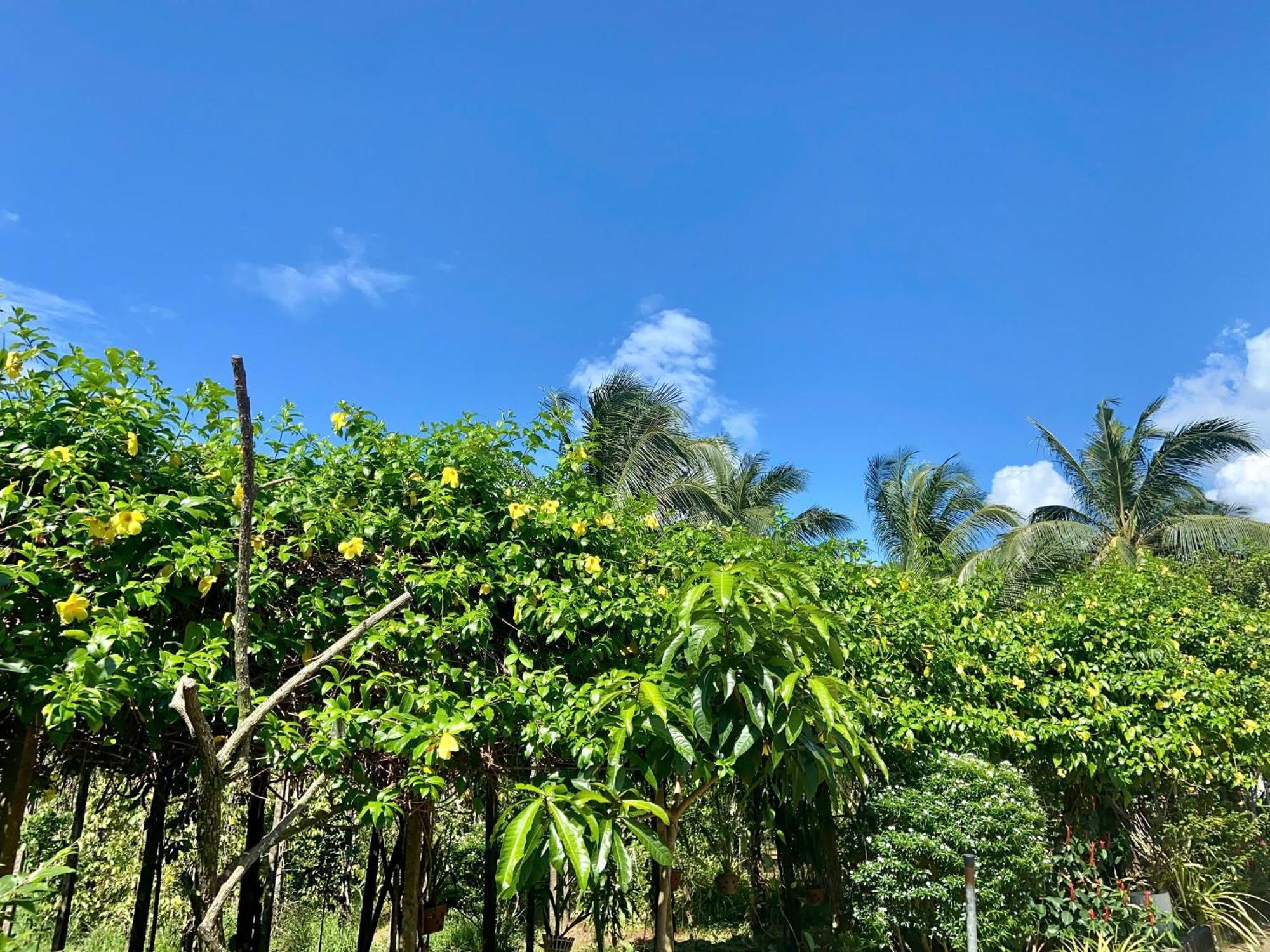 Y Nghia Bungalow Ong Lang Phu Quoc Eksteriør bilde