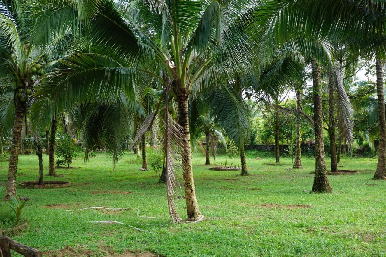 Y Nghia Bungalow Ong Lang Villa Phu Quoc Eksteriør bilde